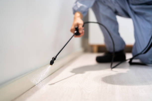 Licensed Pest Control service in Spring Lake, NC - Show Me Pest Control
