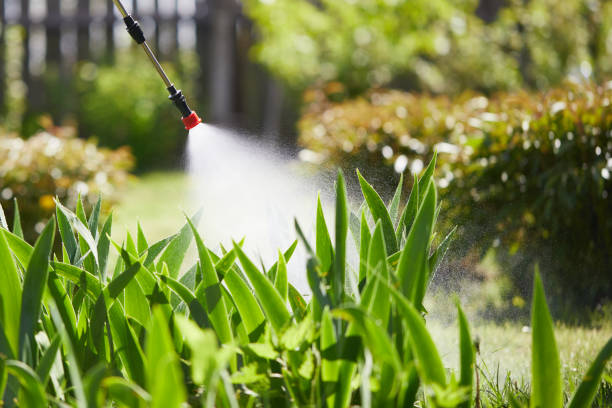 24/7 Emergency Wasp Removal experts in Spring Lake, NC