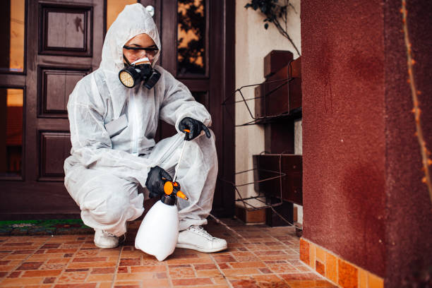 Reliable Wasp Removal contractor in Spring Lake, NC by Show Me Pest Control